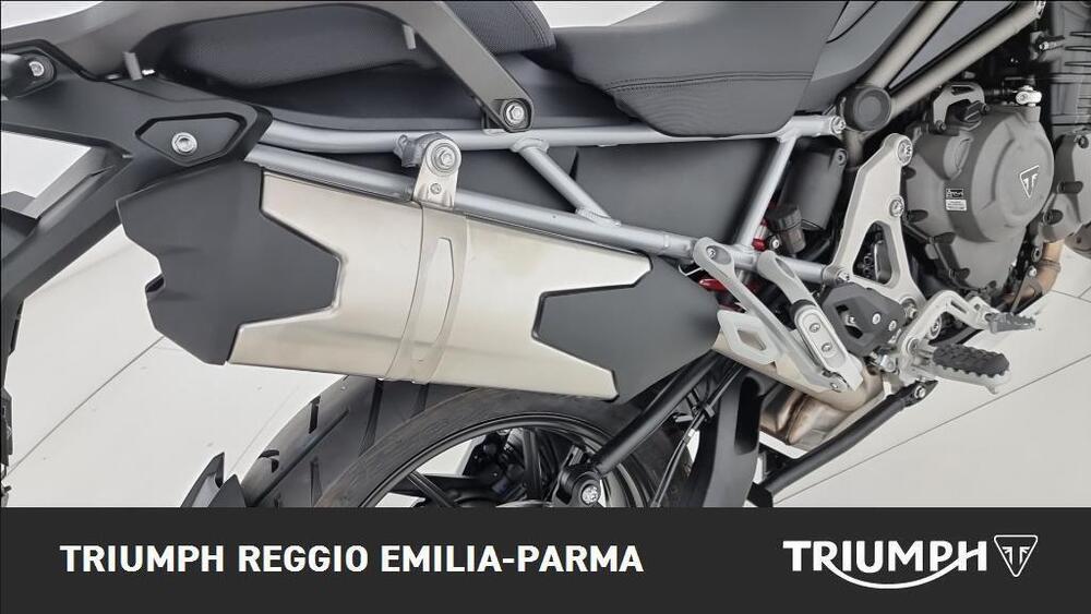 Triumph Tiger 1200 GT Pro (2024 - 25) (16)
