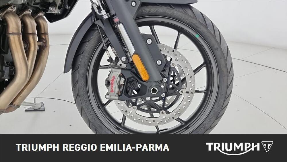 Triumph Tiger 1200 GT Pro (2024 - 25) (20)