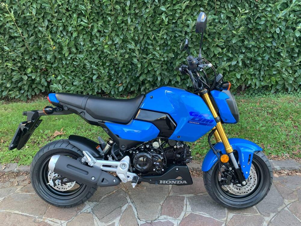 Honda MSX 125 Grom (2021 - 25)