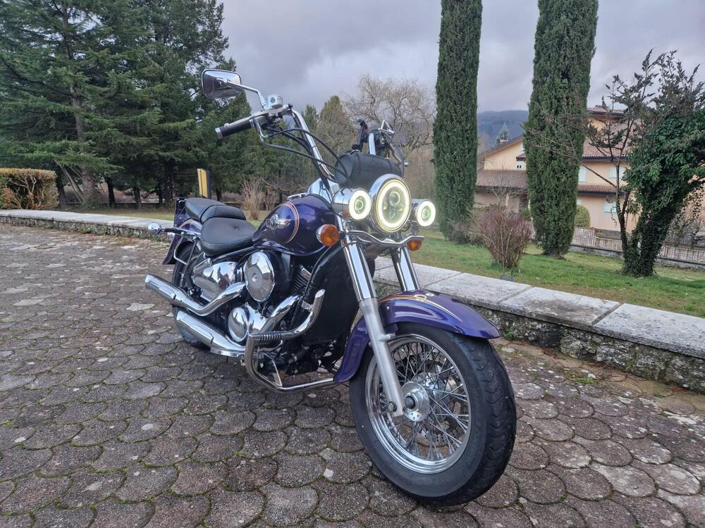 Kawasaki VN 800 Classic (2001 - 06)