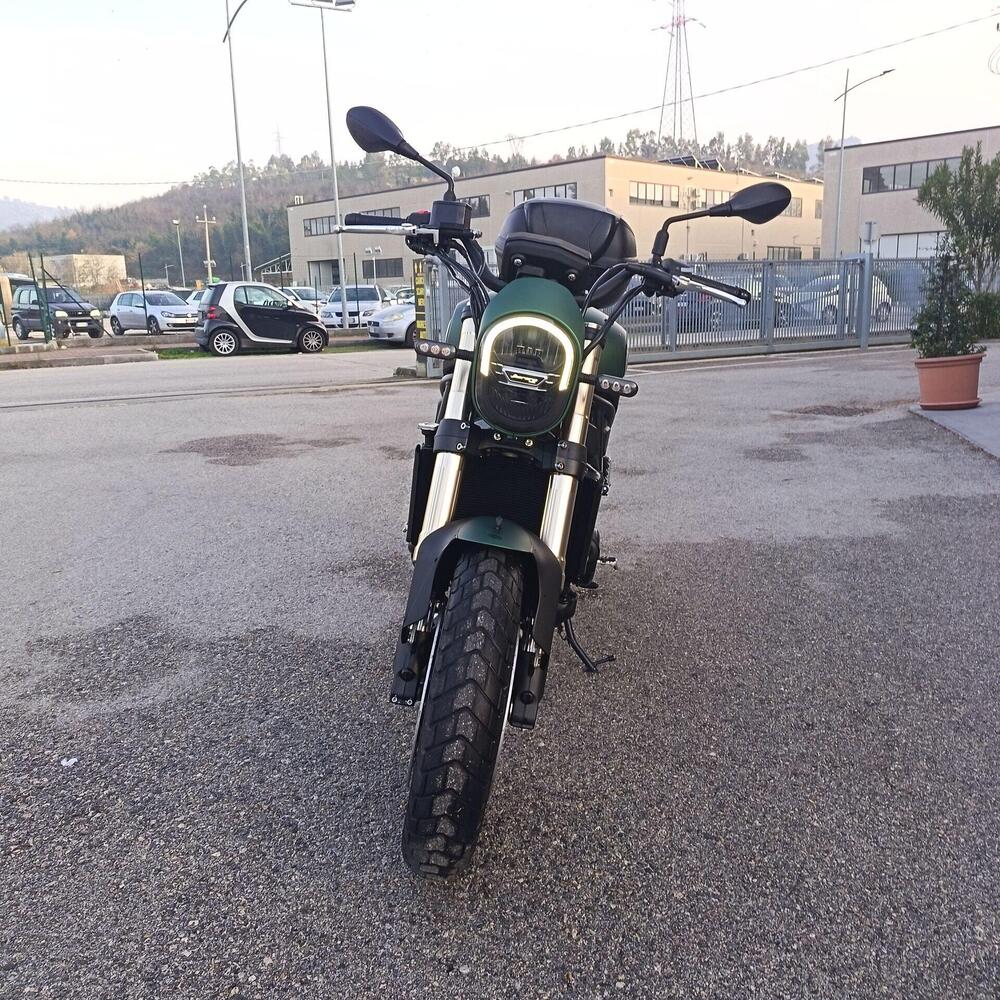 Benelli Leoncino 800 (2022 - 25) (6)