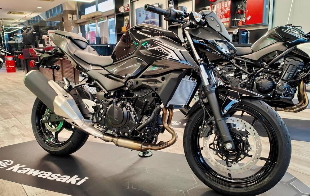 Kawasaki Z 500 (2024 - 26) (9)