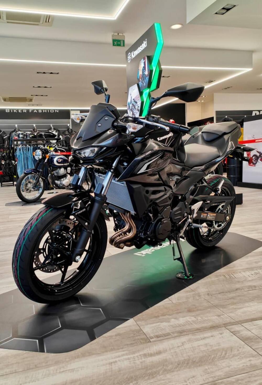 Kawasaki Z 500 (2024 - 26) (10)