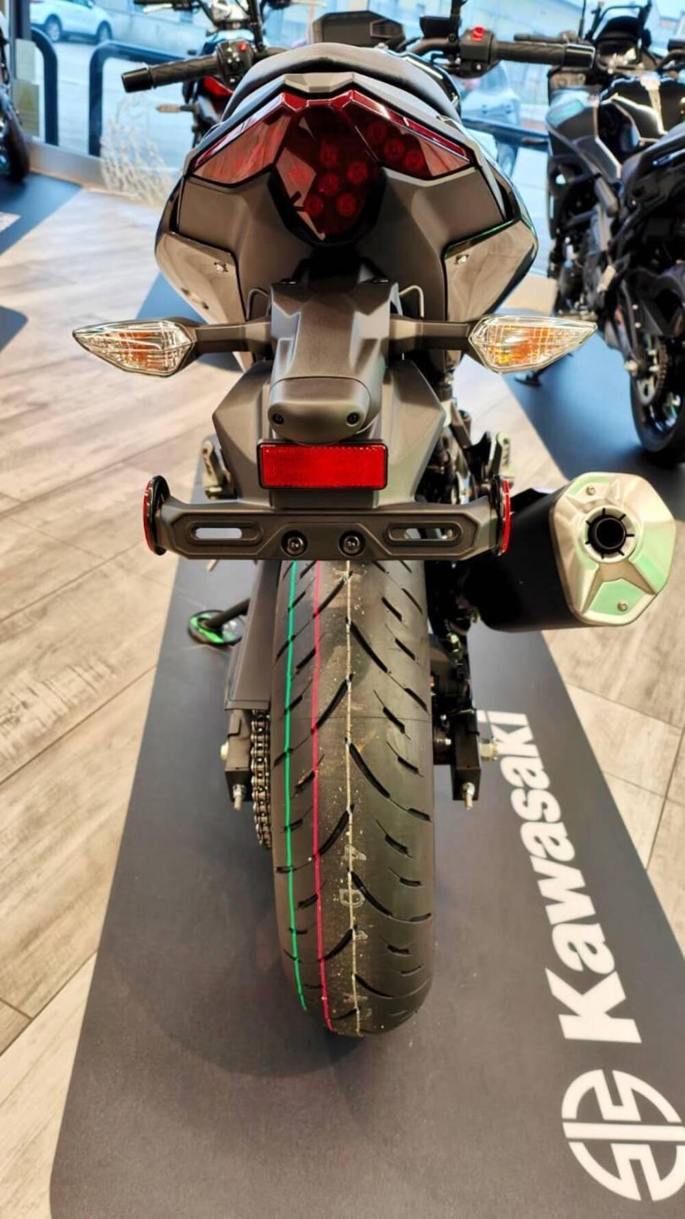 Kawasaki Z 500 (2024 - 26) (12)