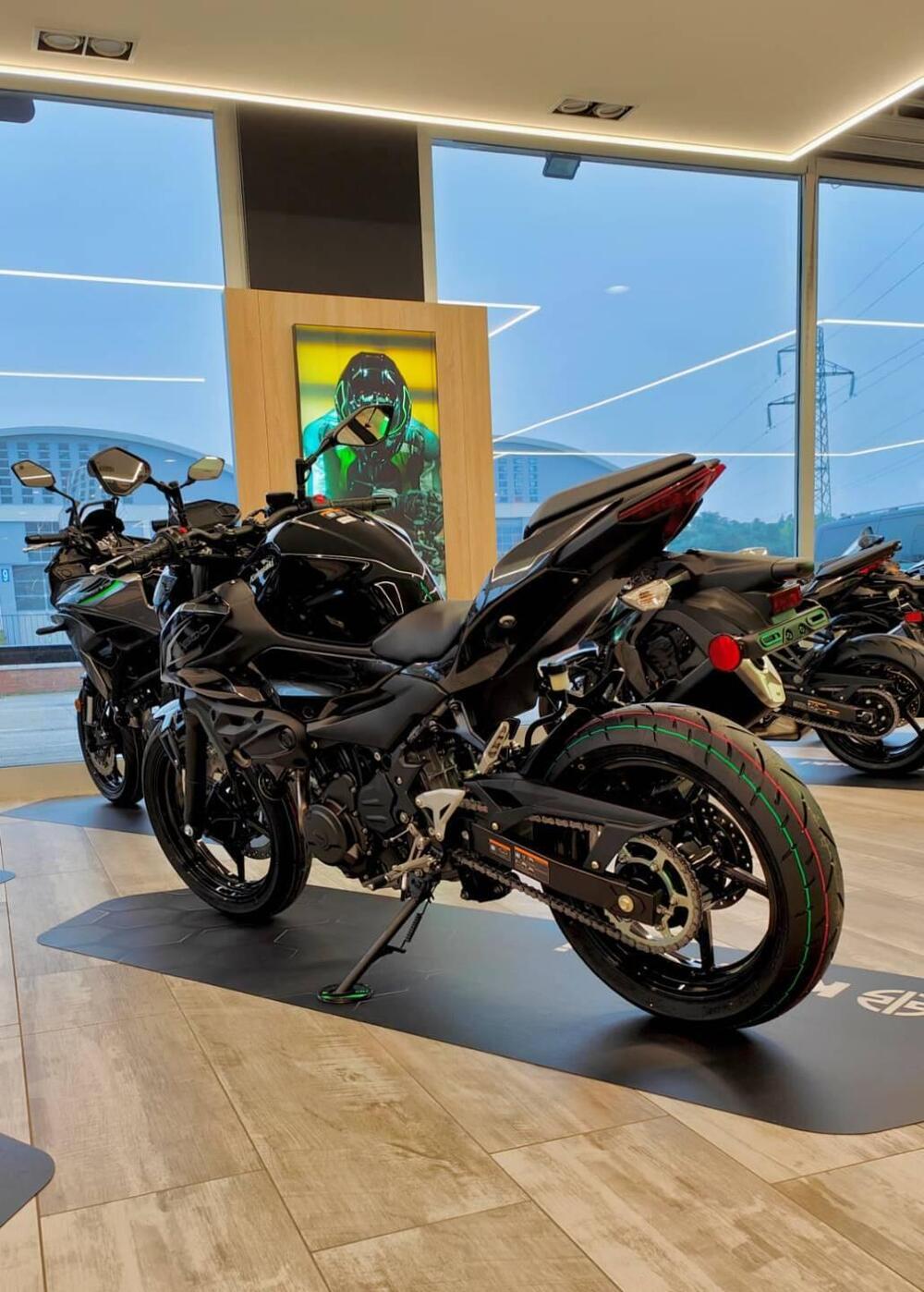 Kawasaki Z 500 (2024 - 26) (13)