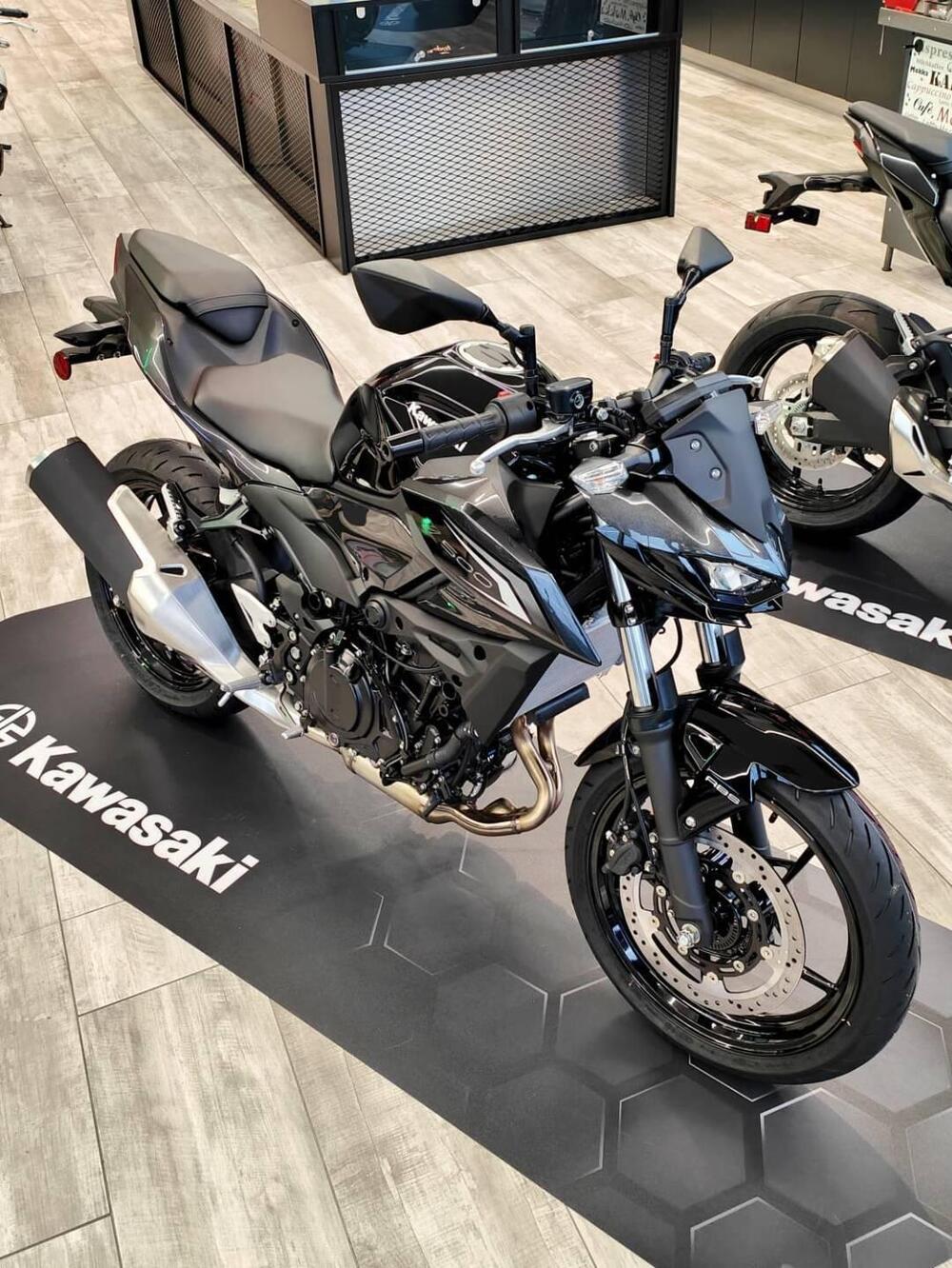 Kawasaki Z 500 (2024 - 26) (15)