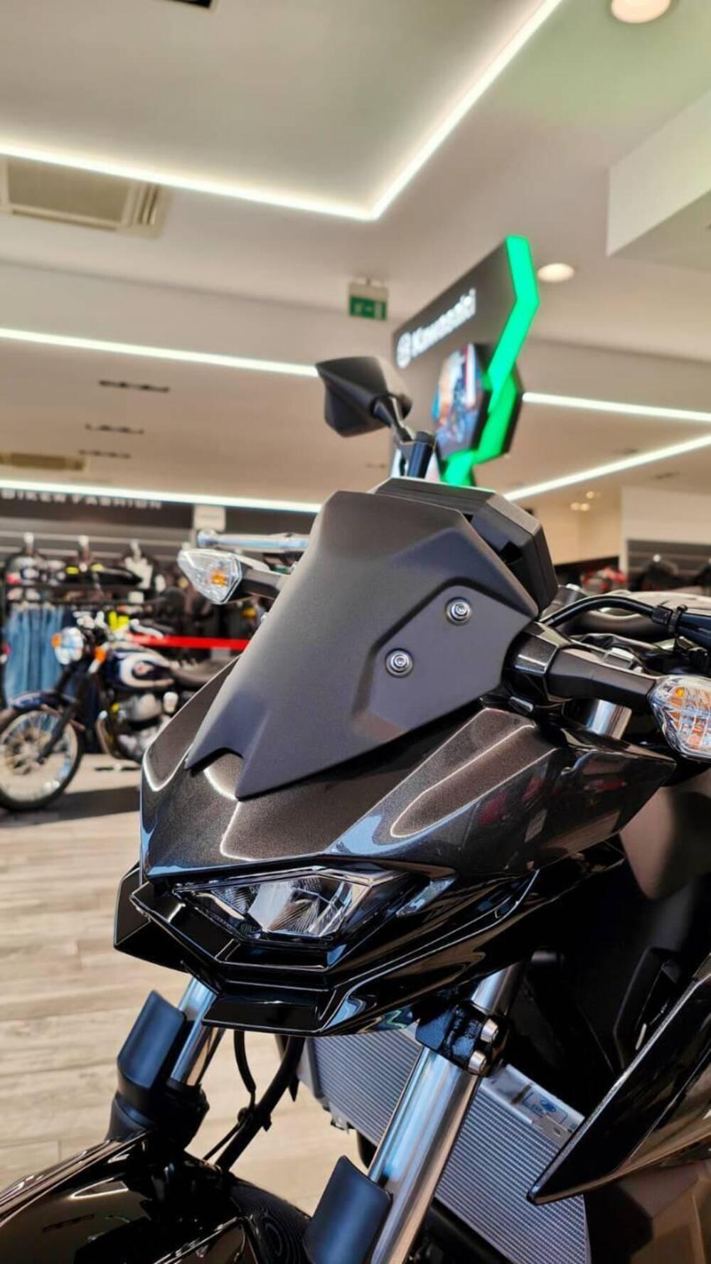 Kawasaki Z 500 (2024 - 26) (16)