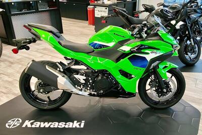 Kawasaki Ninja 500 SE (2024 - 26) nuova