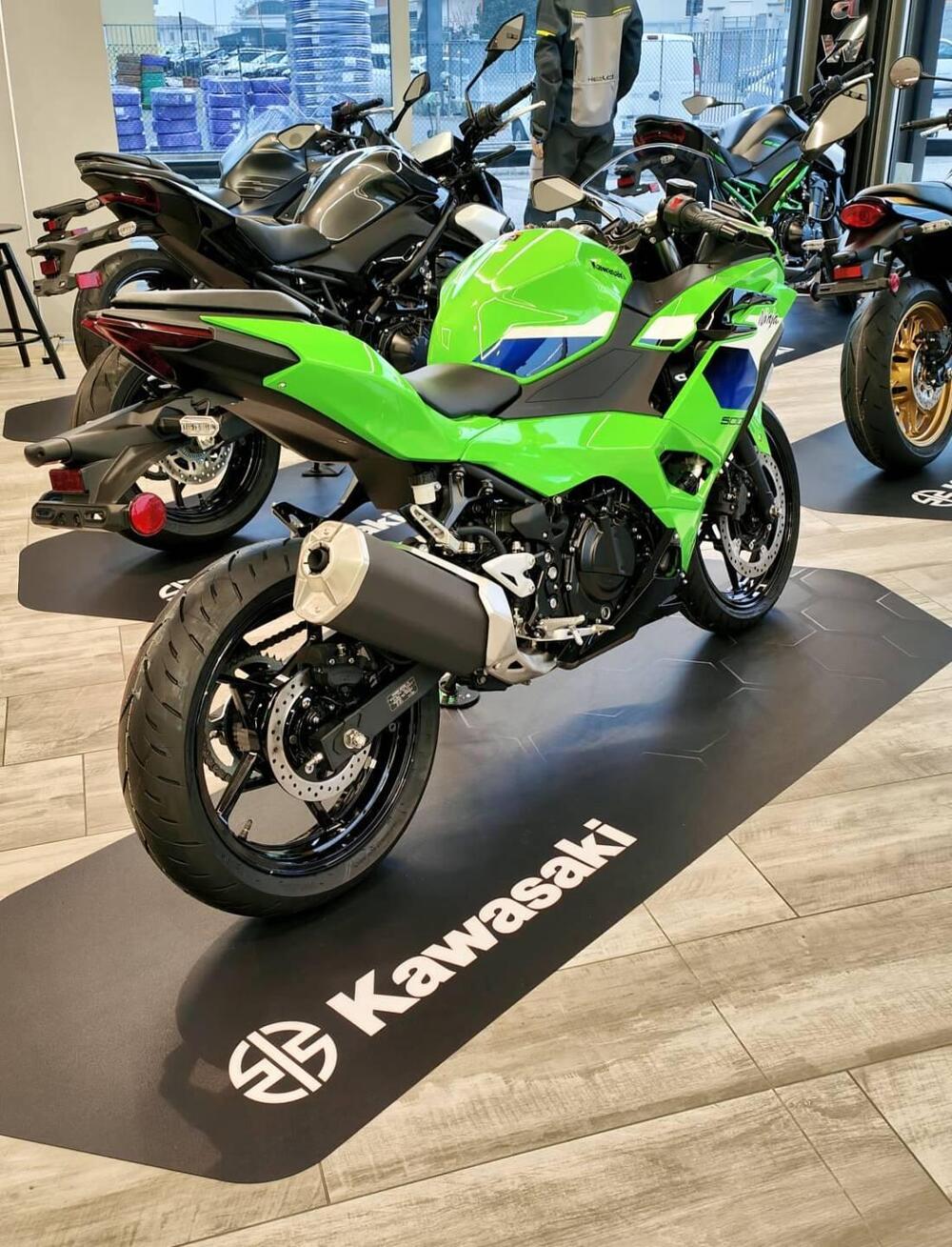 Kawasaki Ninja 500 SE (2024 - 26) (3)