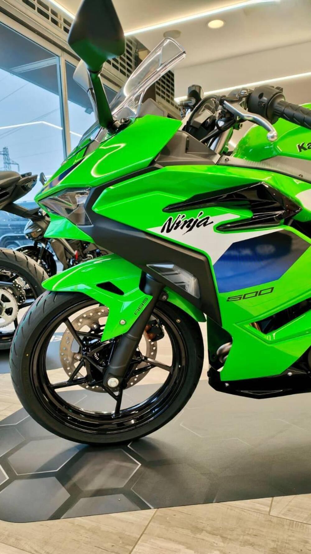 Kawasaki Ninja 500 SE (2024 - 26) (6)