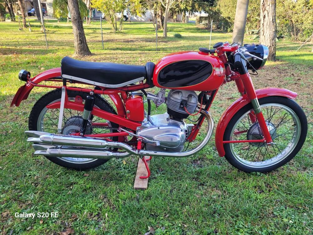 Moto Morini Settebello 175 (2)