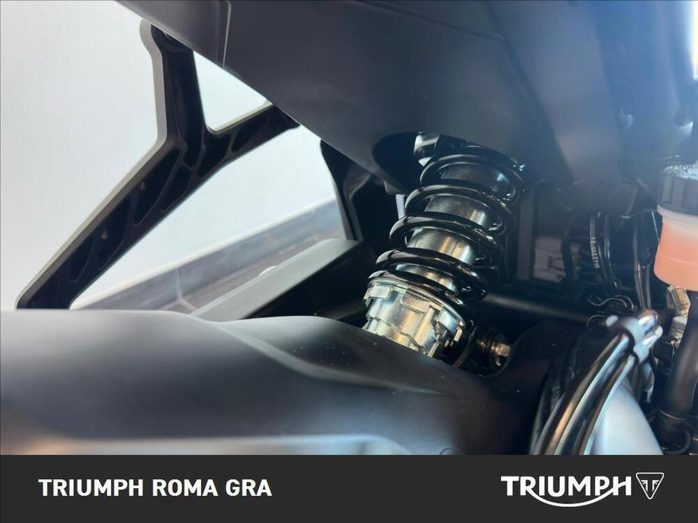 Triumph Trident 660 (2021 - 24) (6)