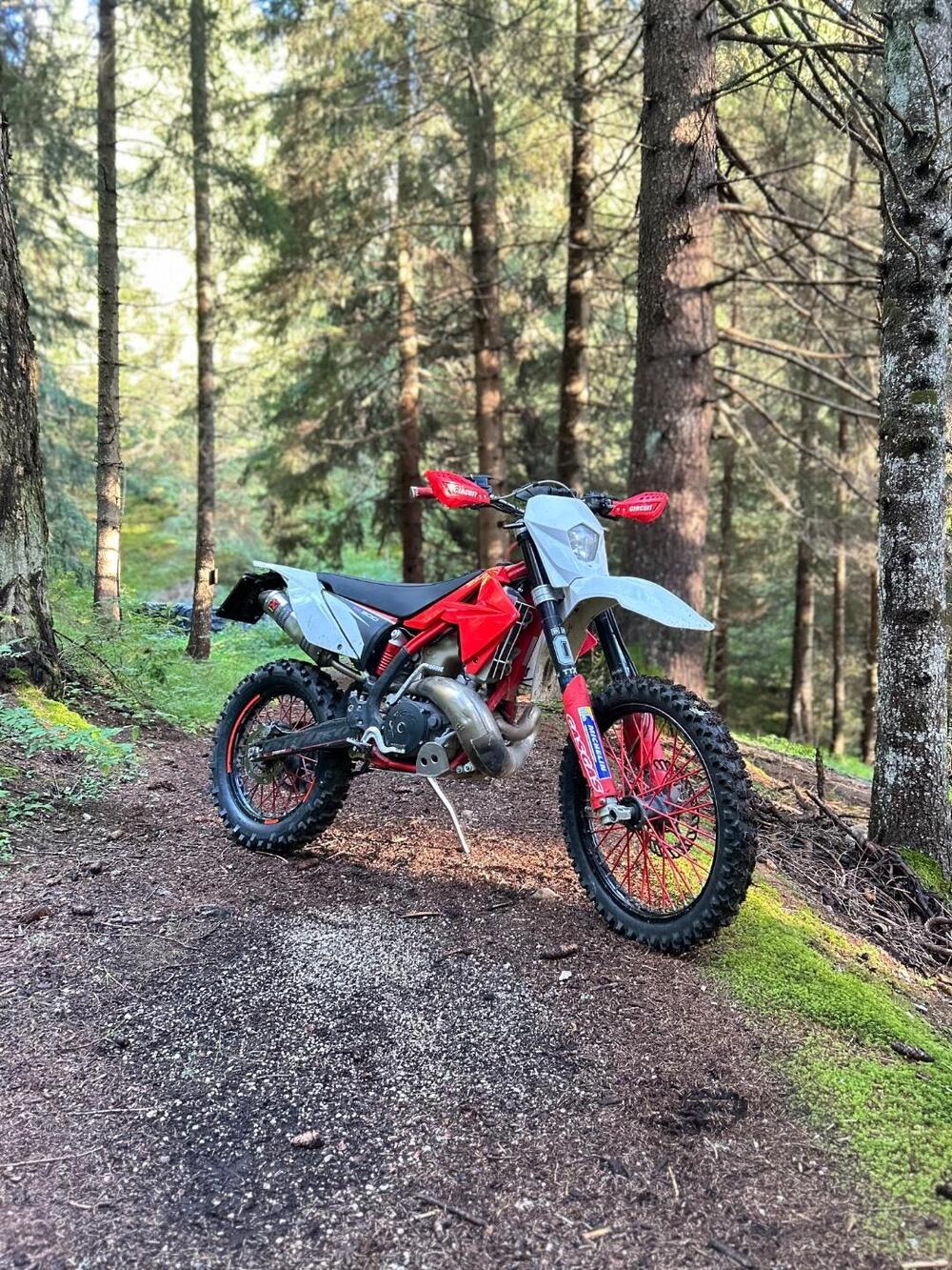 GASGAS EC 300 (2010)