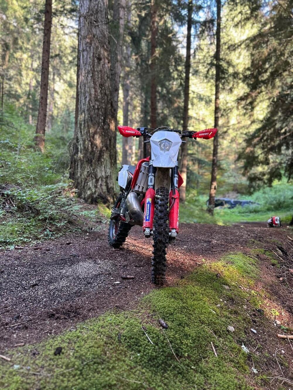 GASGAS EC 300 (2010) (3)