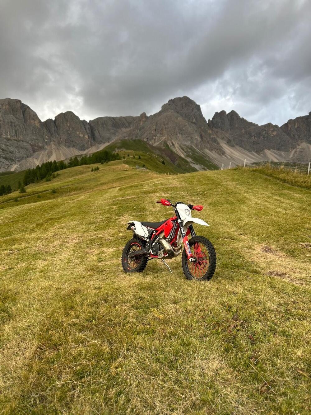 GASGAS EC 300 (2010) (4)