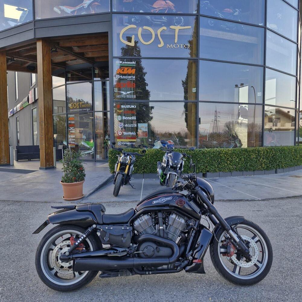 Harley-Davidson 1250 V-Rod (2008 - 12) - VRSCAW