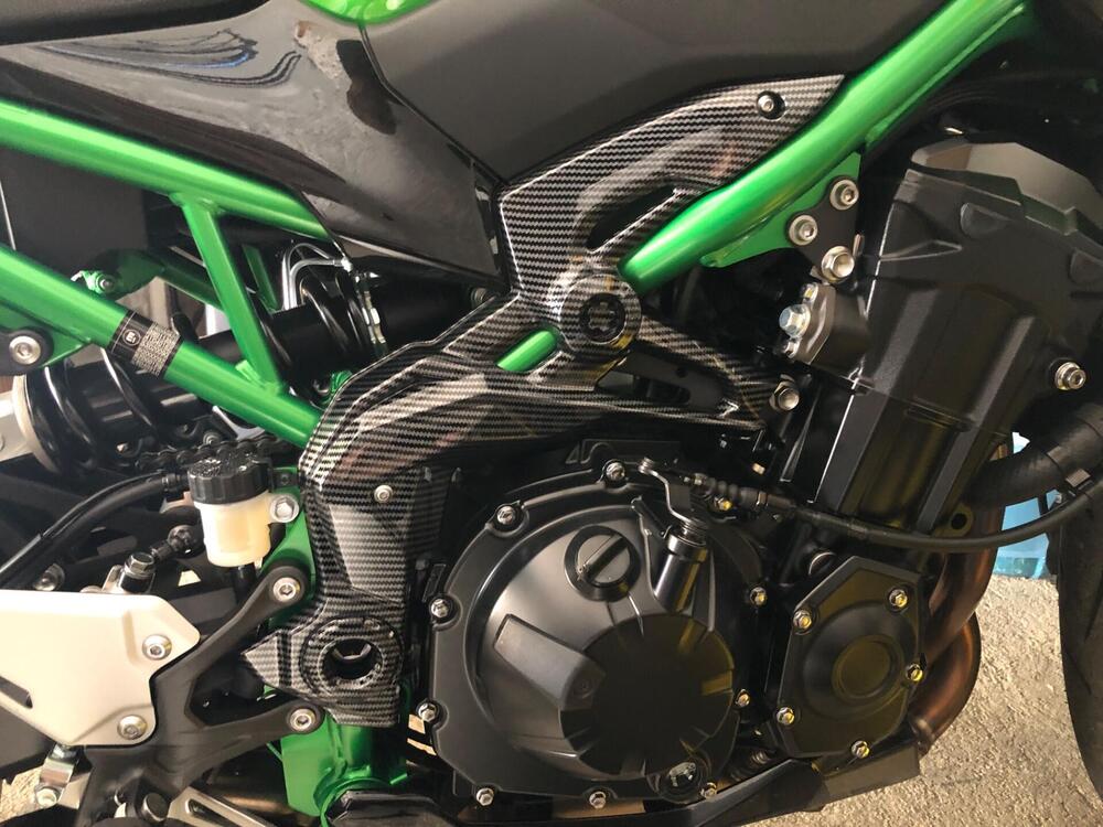Kawasaki Z 900 (2021 - 24) (4)