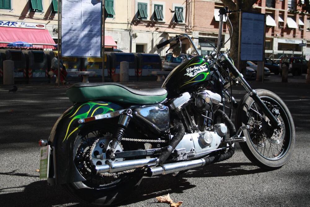 Harley-Davidson 883 Hugger (1994 - 00) - XLH (16)