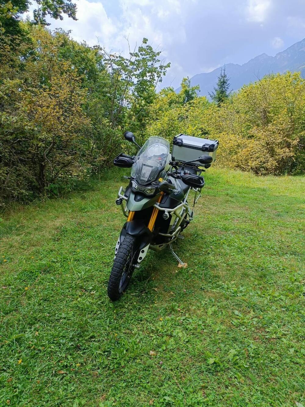 Triumph Tiger 900 Rally Pro (2020 - 23) (4)