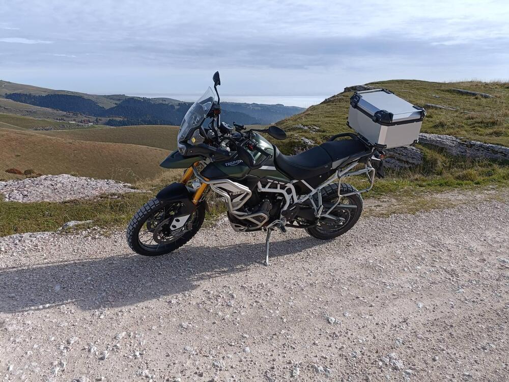 Triumph Tiger 900 Rally Pro (2020 - 23) (6)