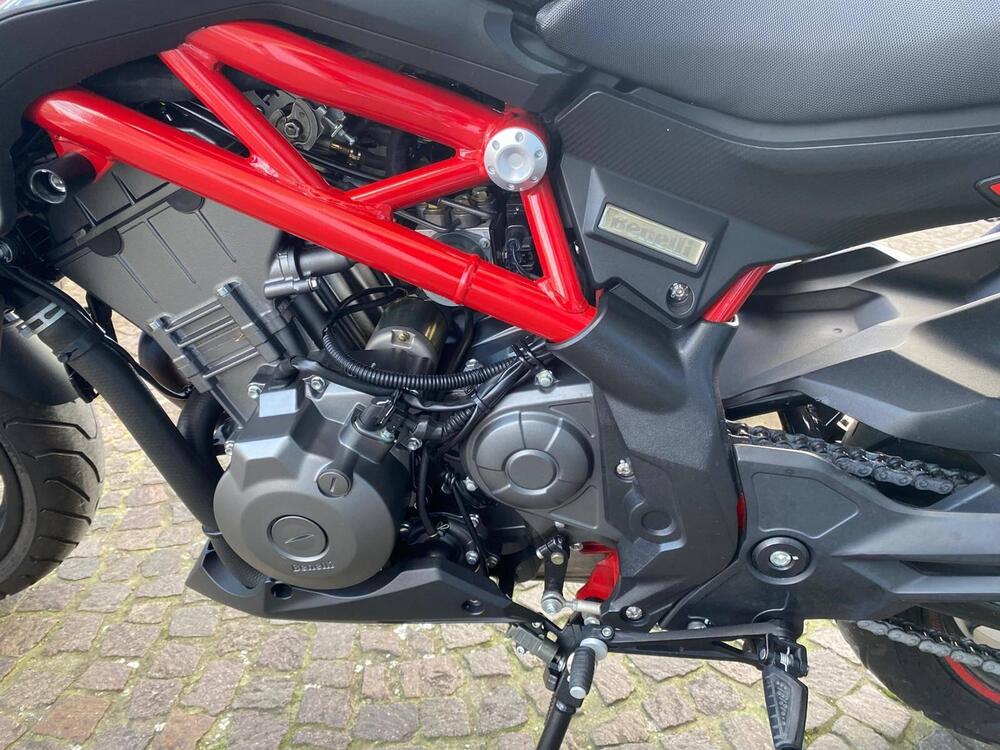 Benelli BN 302 S (2019 - 20) (6)