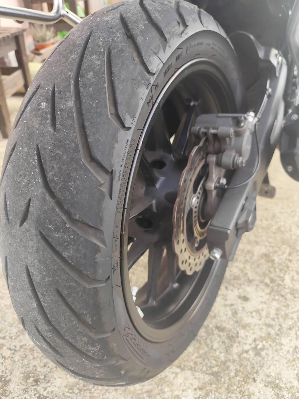 Voge Valico 500DS (2020) (5)