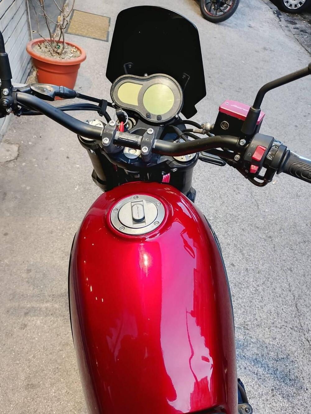 Benelli Leoncino 500 (2021 - 25) (6)