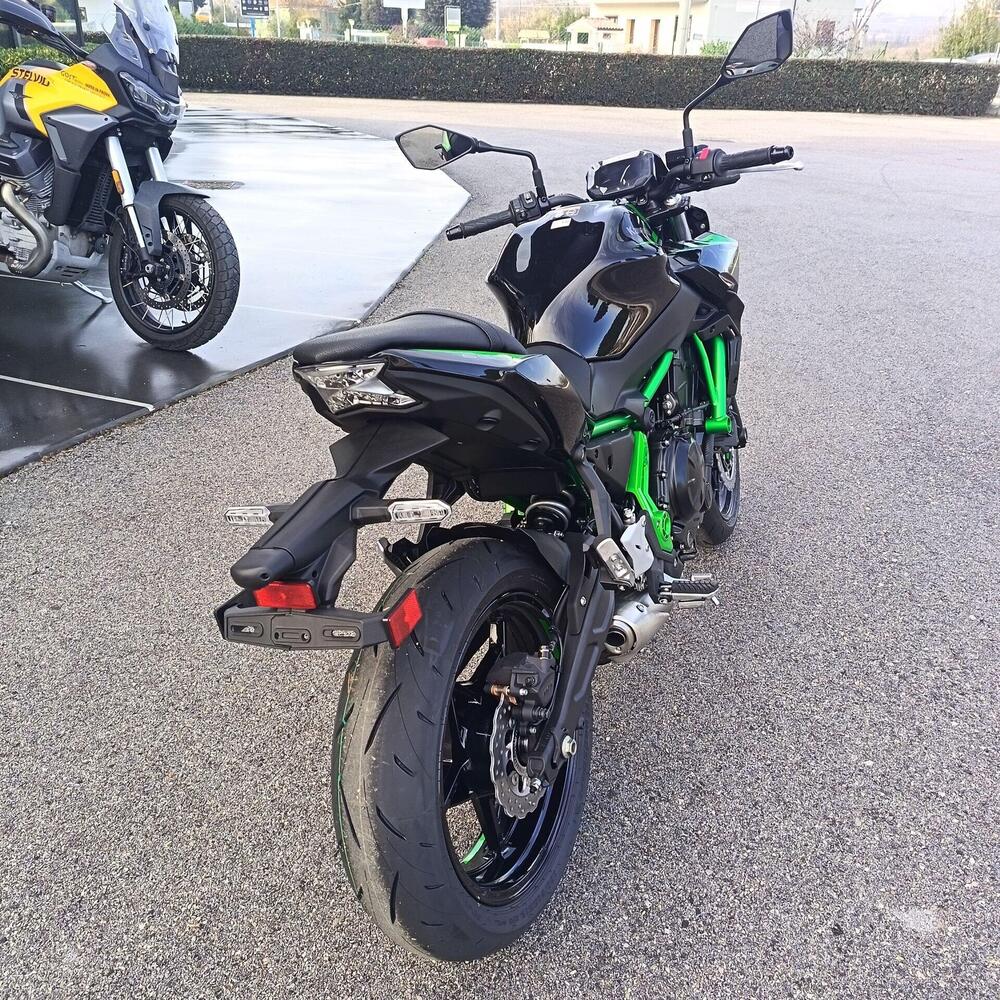 Kawasaki Z 650 (2025 - 26) (7)