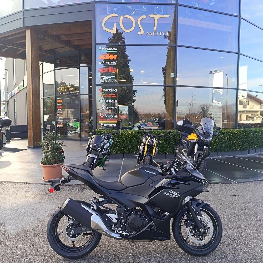 Kawasaki Ninja 500 (2024 - 26)