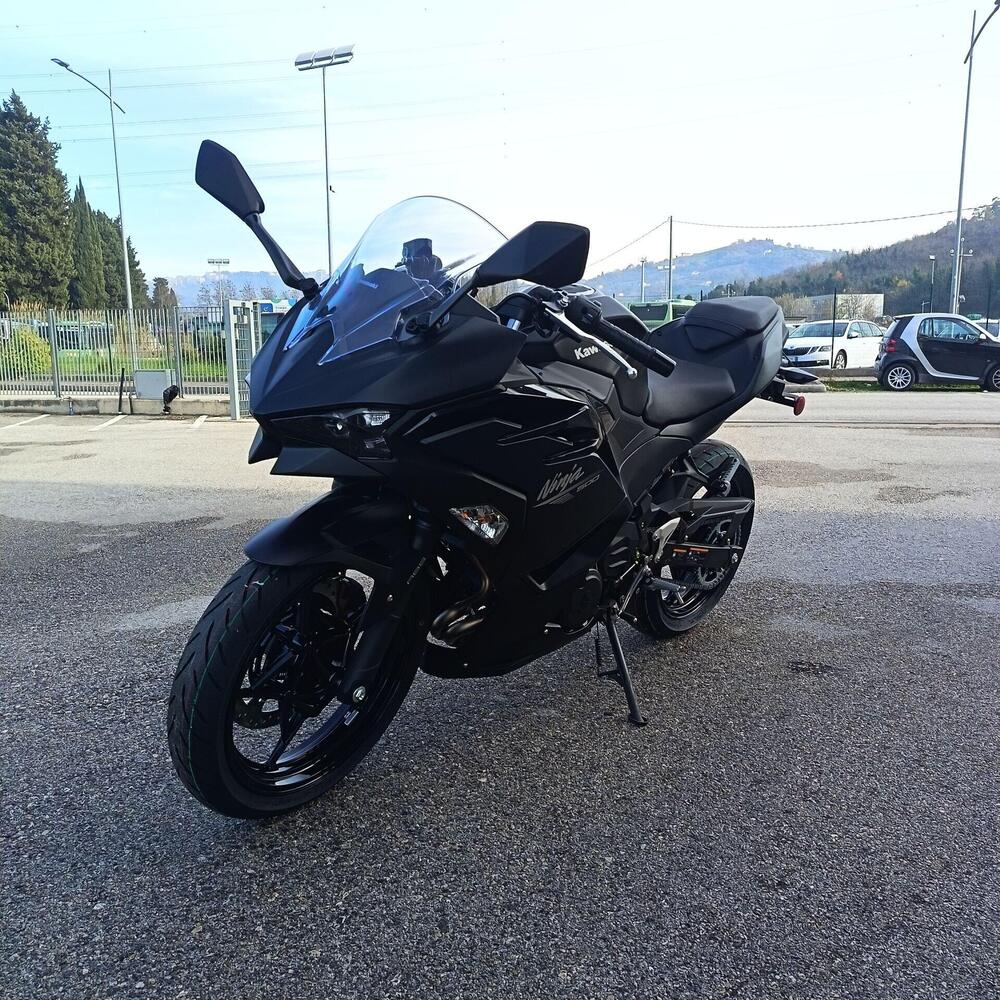 Kawasaki Ninja 500 (2024 - 26) (4)