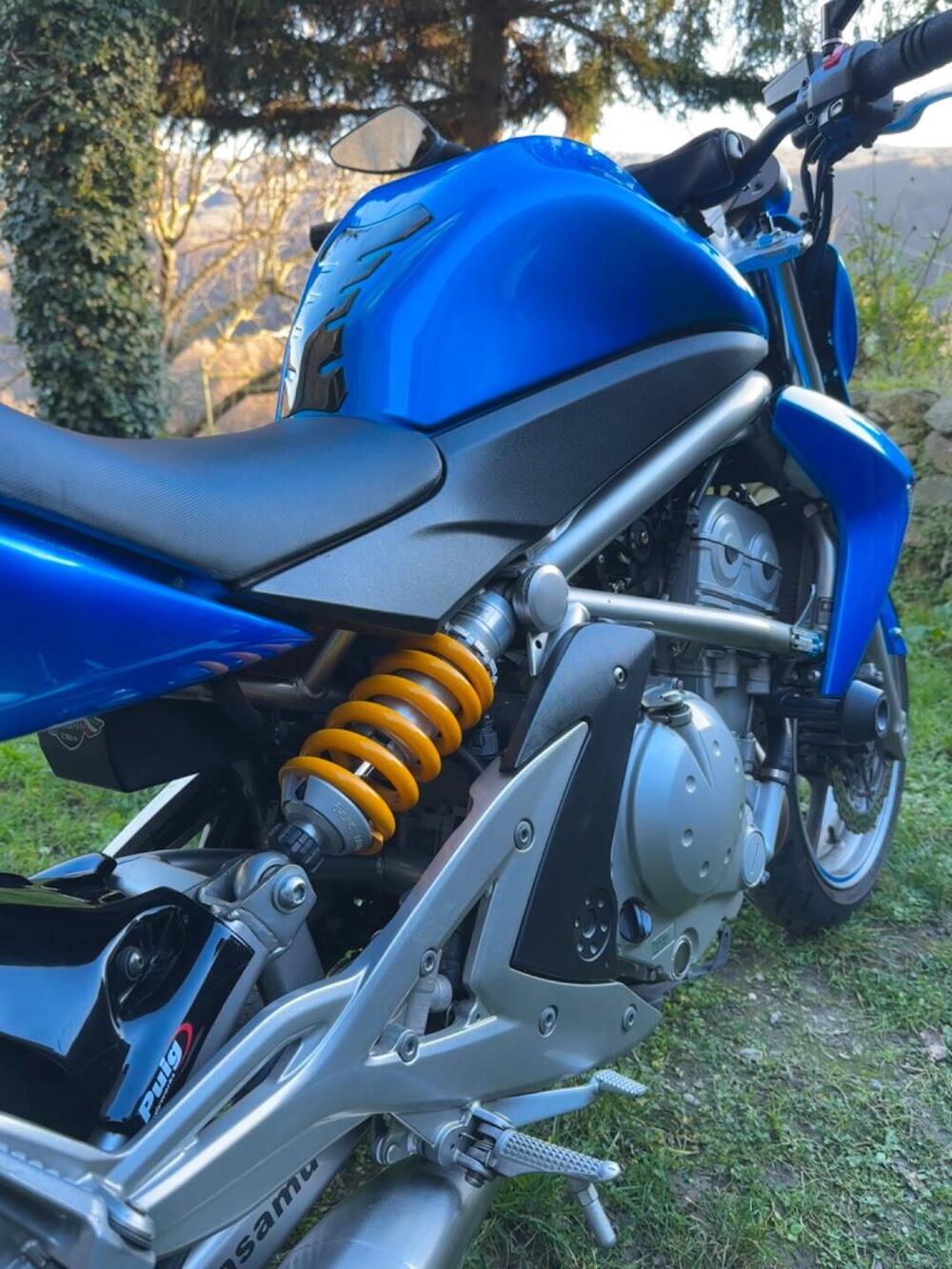 Kawasaki ER-6N (2006 - 09) (4)