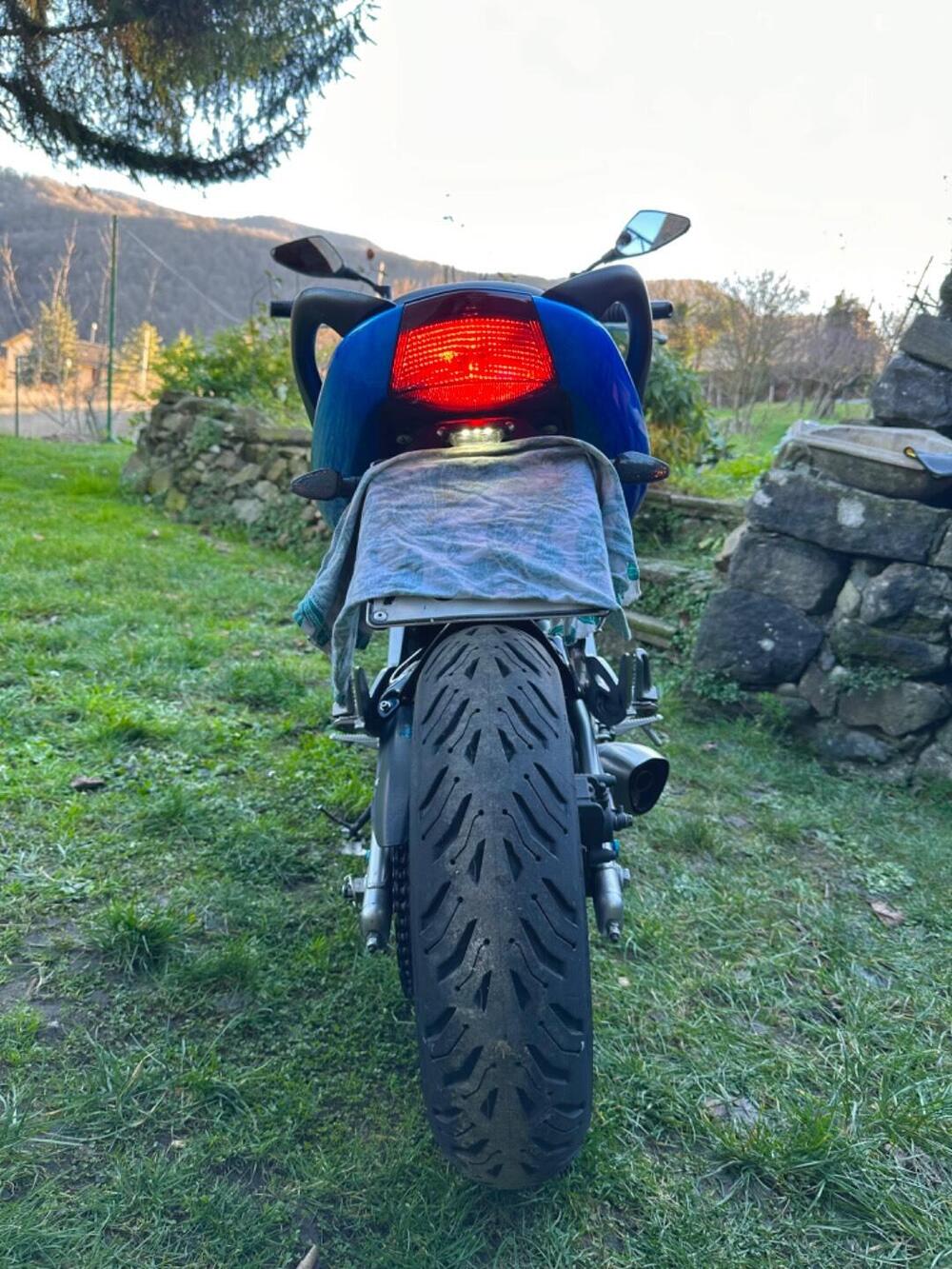 Kawasaki ER-6N (2006 - 09) (6)