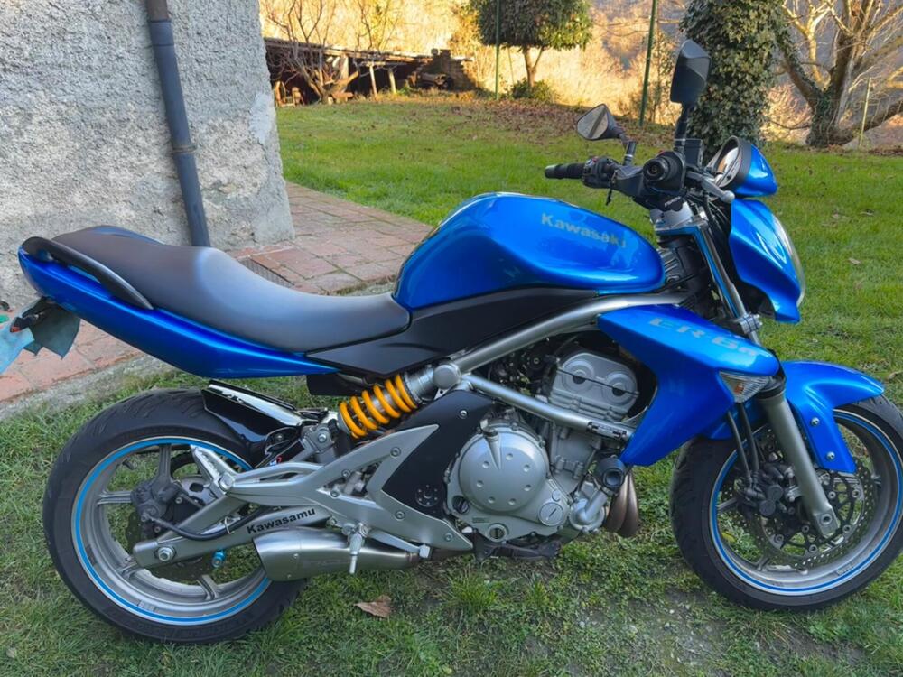 Kawasaki ER-6N (2006 - 09) (7)