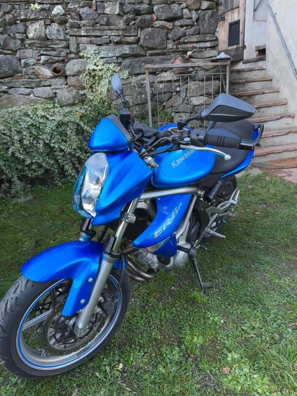 Kawasaki ER-6N (2006 - 09) (10)