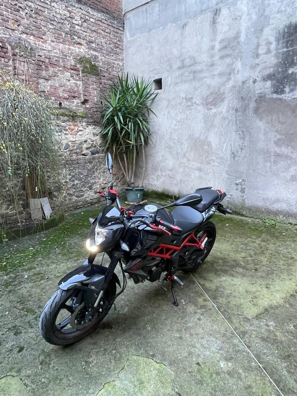 Benelli BN 125 (2021 - 25)