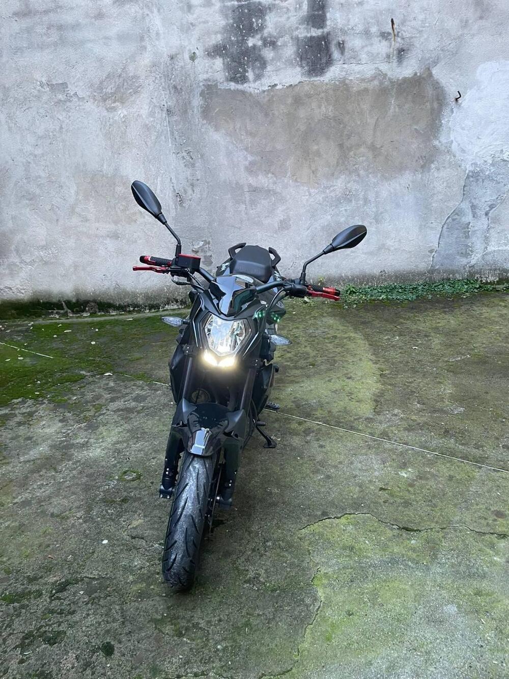 Benelli BN 125 (2021 - 25) (3)