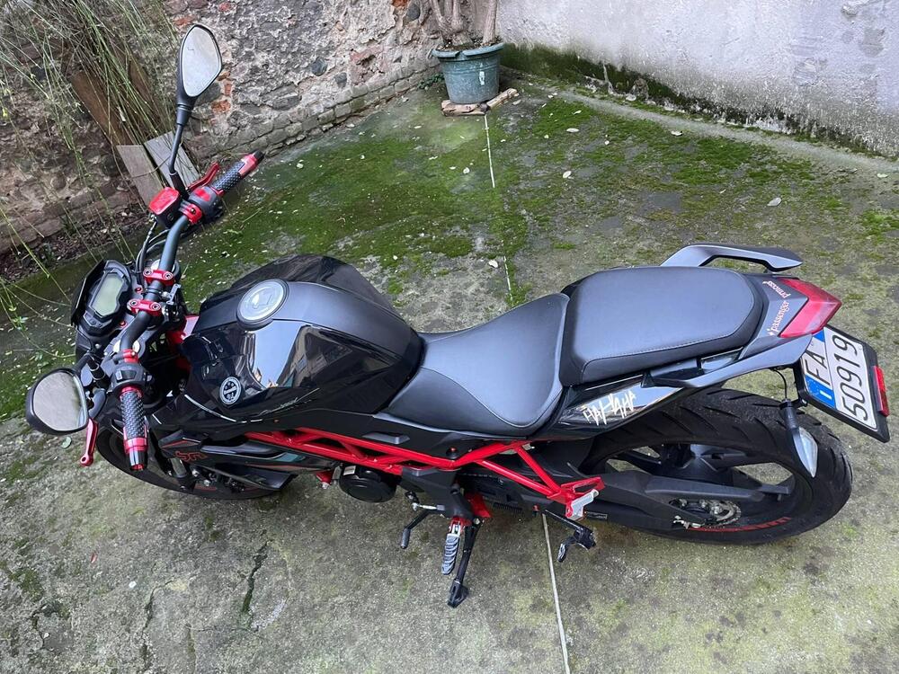 Benelli BN 125 (2021 - 25) (2)