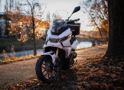 Phelon &amp; Moore Panthette X: lo scooter che porta l&rsquo;avventura su ruote (quasi!) alte