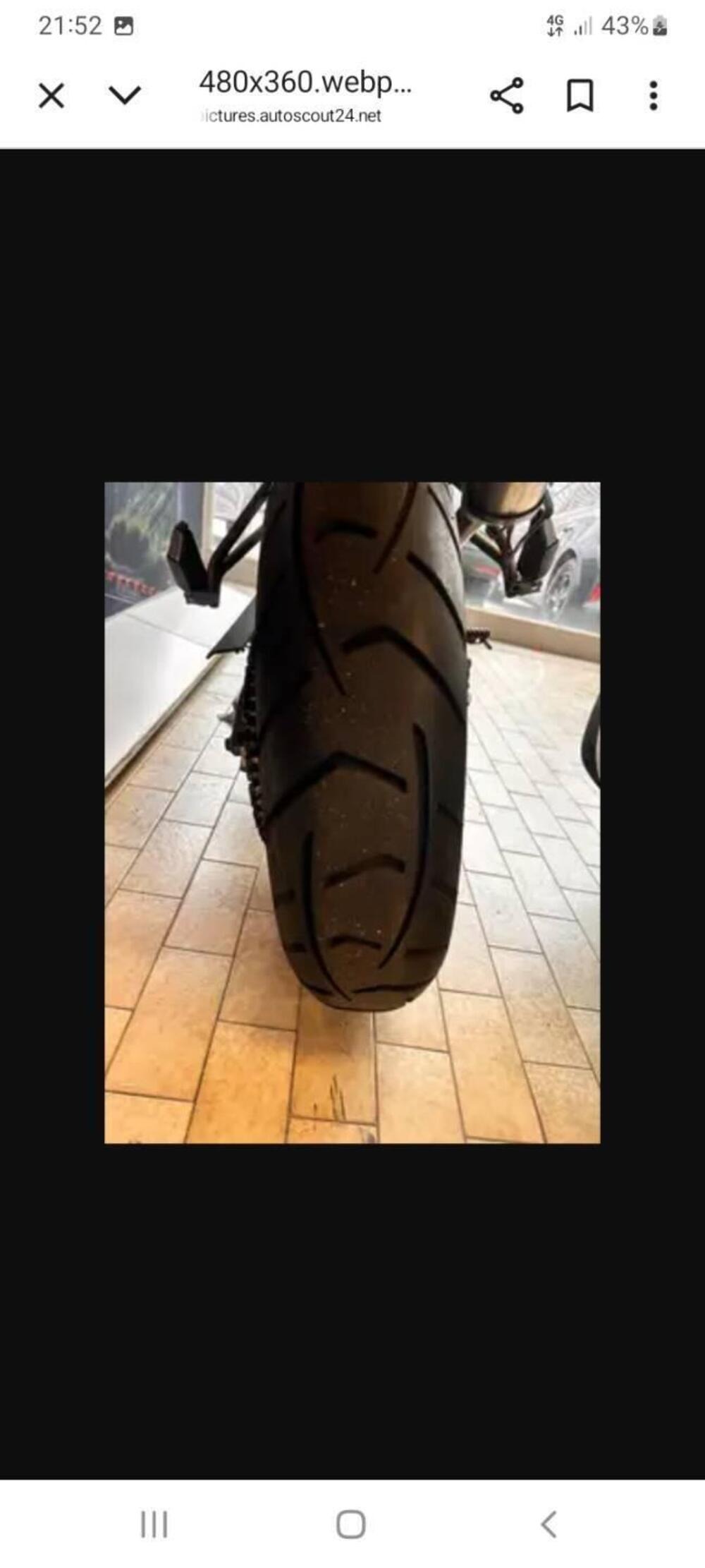 Triumph Tiger 800 XR (2017 - 18) (2)