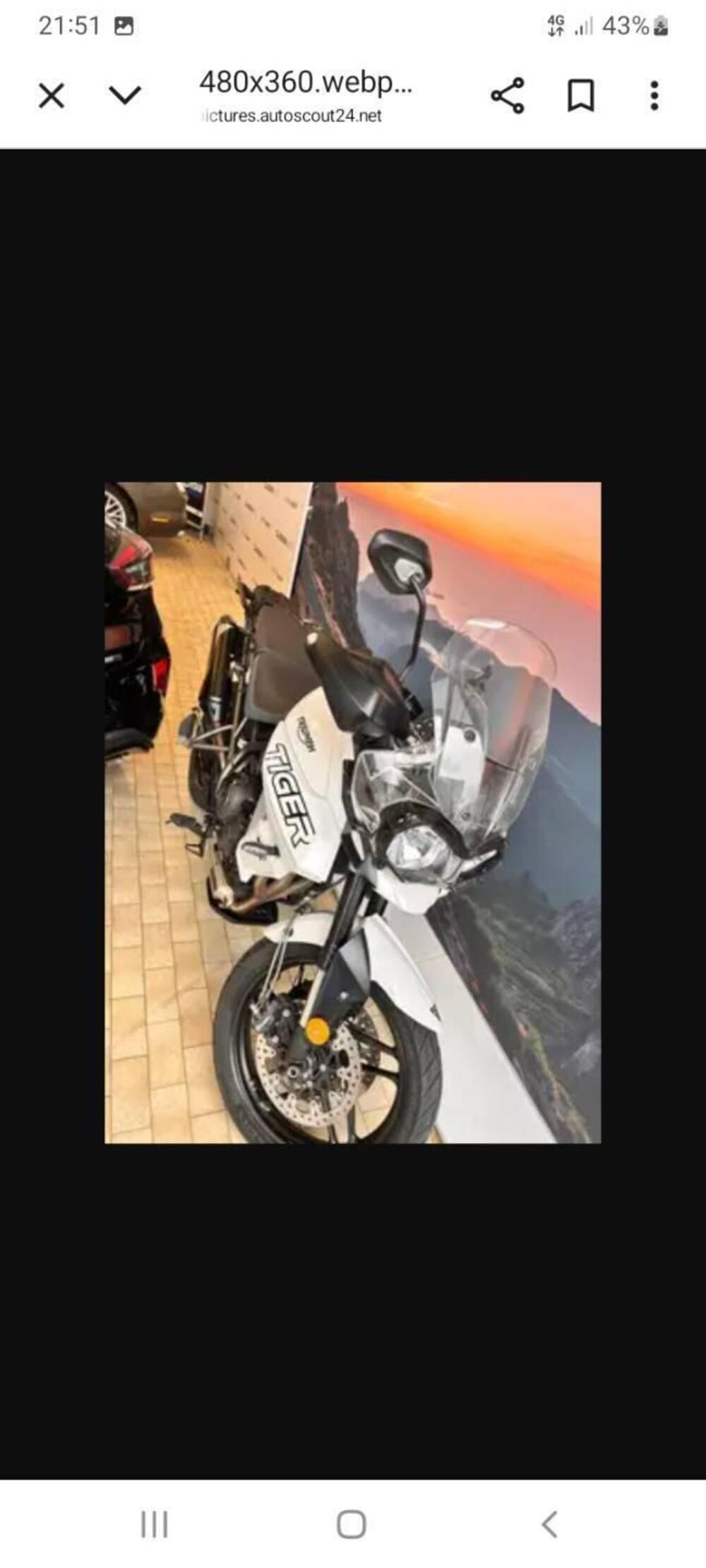 Triumph Tiger 800 XR (2017 - 18) (4)