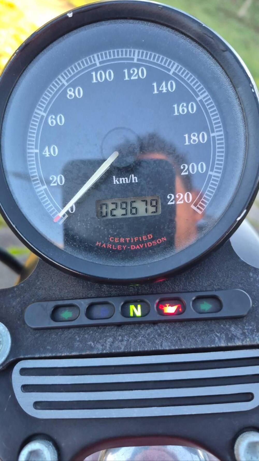 Harley-Davidson 883 R (2002 - 03) - XL 883R (2)