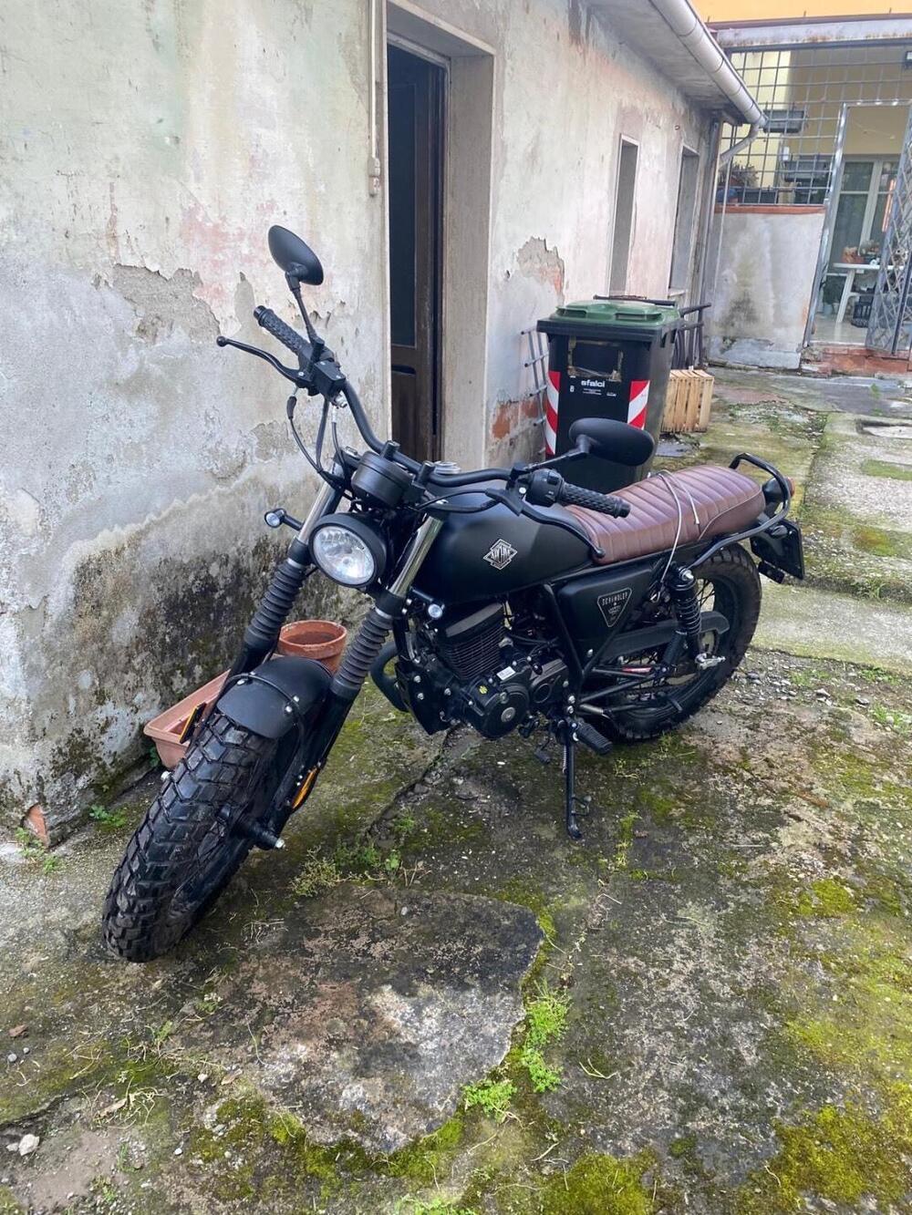 Archive Motorcycle Scrambler First (2023 - 25) (3)