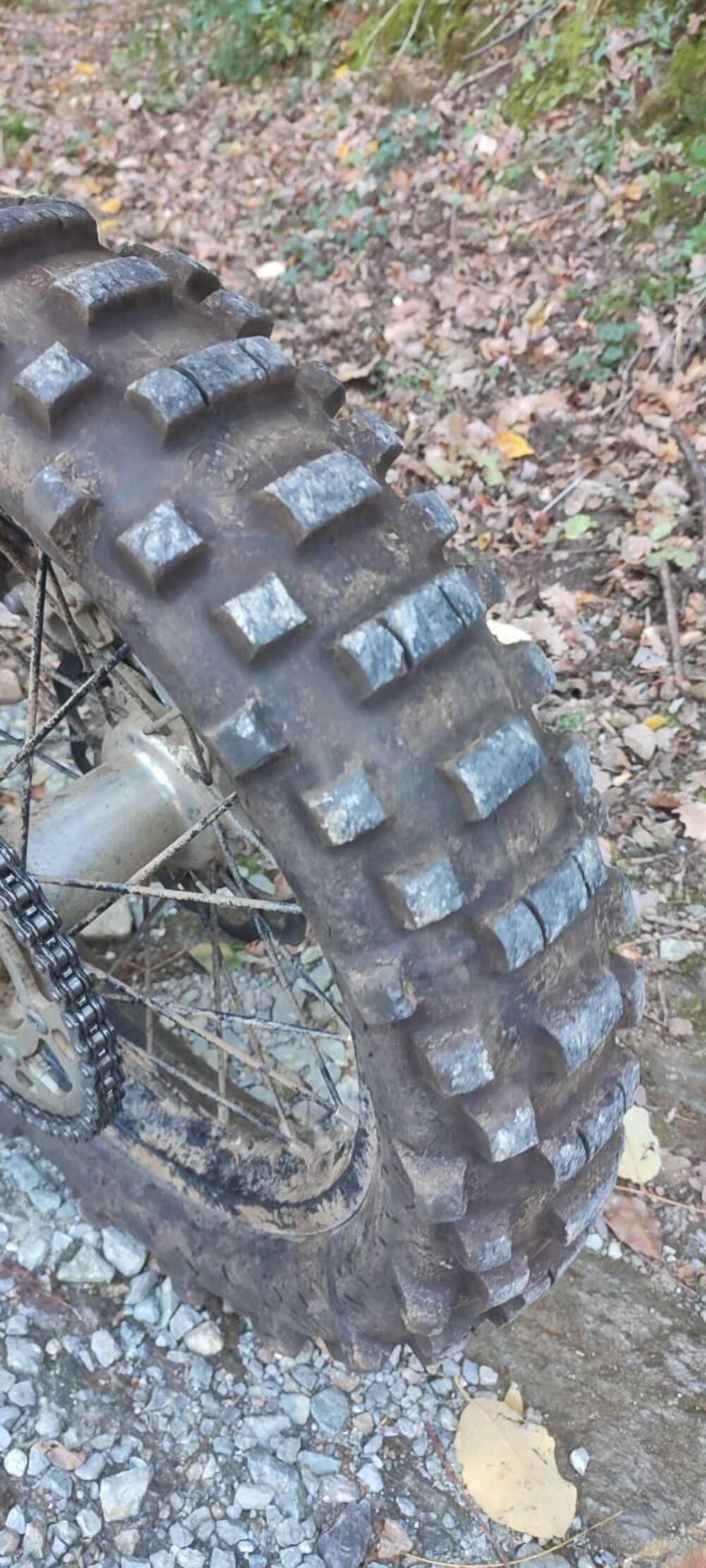 Betamotor RR 300 2T Enduro (2019) (4)