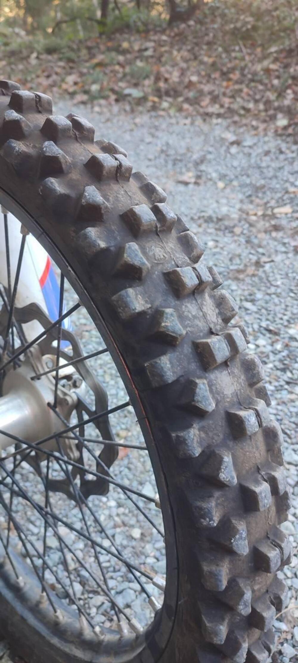 Betamotor RR 300 2T Enduro (2019) (5)