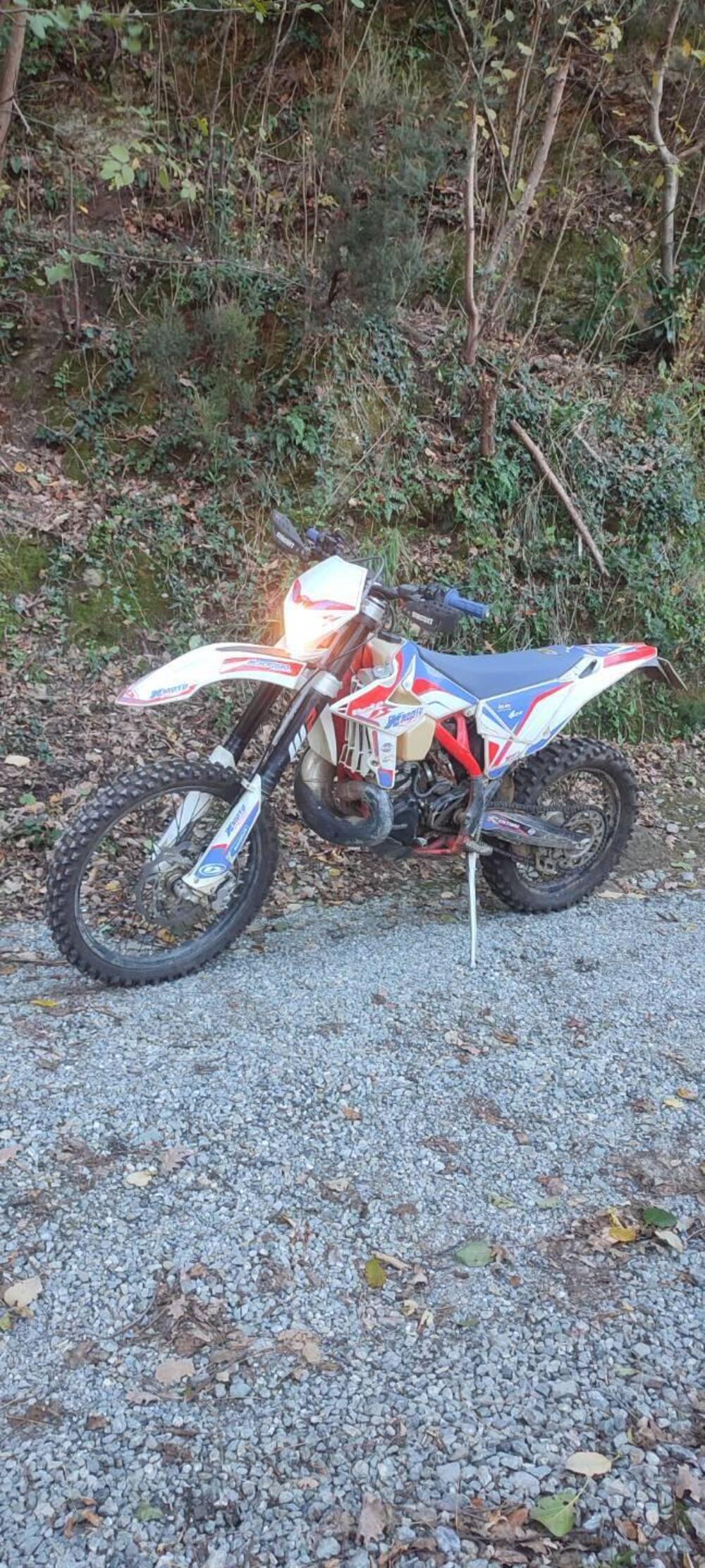 Betamotor RR 300 2T Enduro (2019) (6)