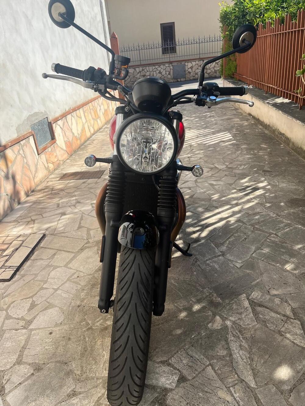 Triumph Speed Twin 900 Chrome Edition (2023) (2)