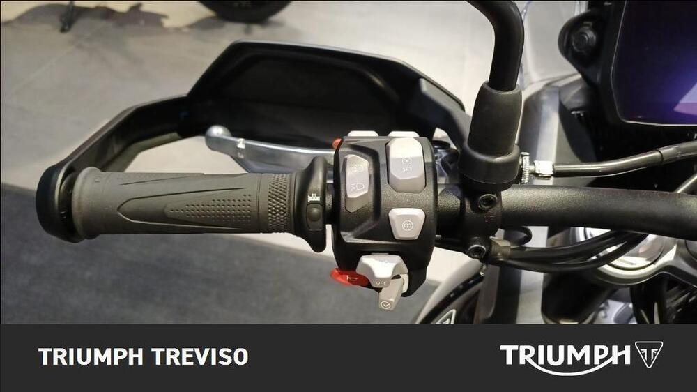 Triumph Tiger 900 GT Pro (2024 - 26) (5)