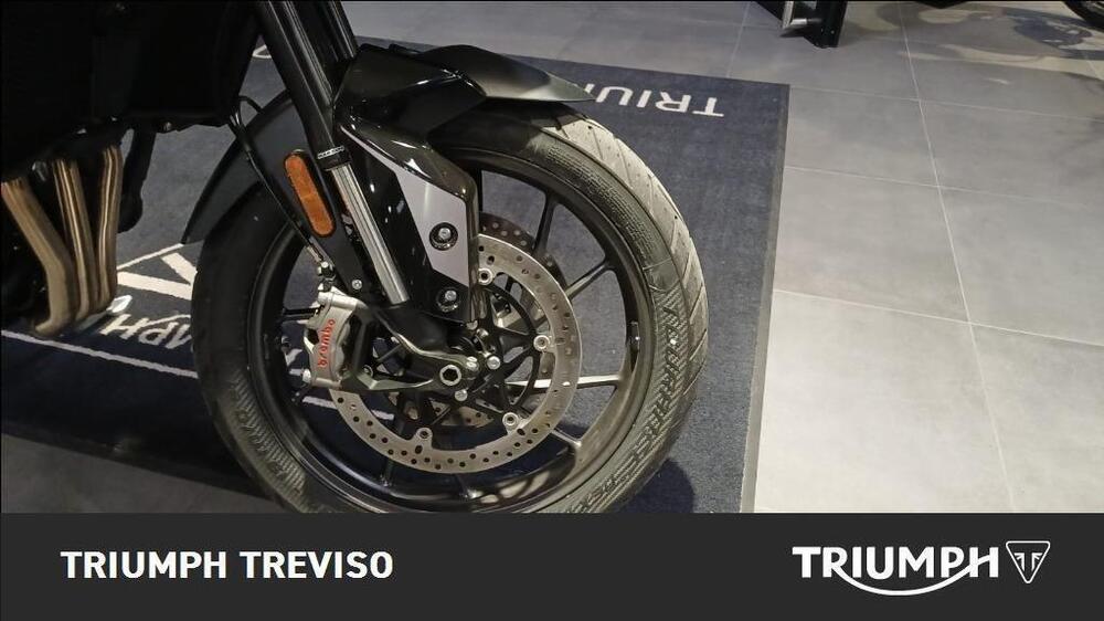 Triumph Tiger 900 GT Pro (2024 - 26) (6)