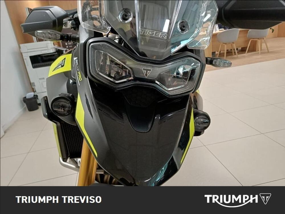 Triumph Tiger 900 Rally Pro (2024 - 26) (5)