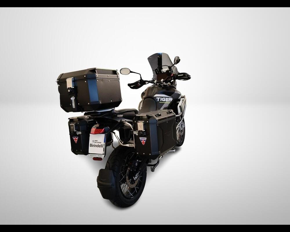 Triumph Tiger 900 Rally Aragón Edition (2023 - 24) (2)